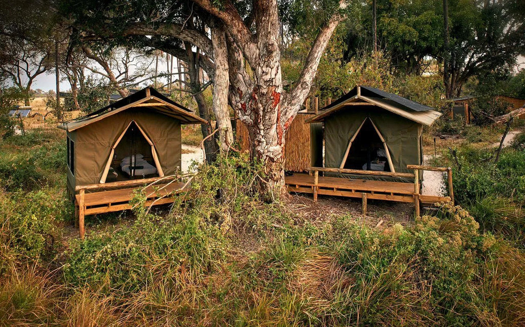 Oddballs' Camp Family Tents at Oddballs' Camp, Moremi Game Reserve, Botswana.