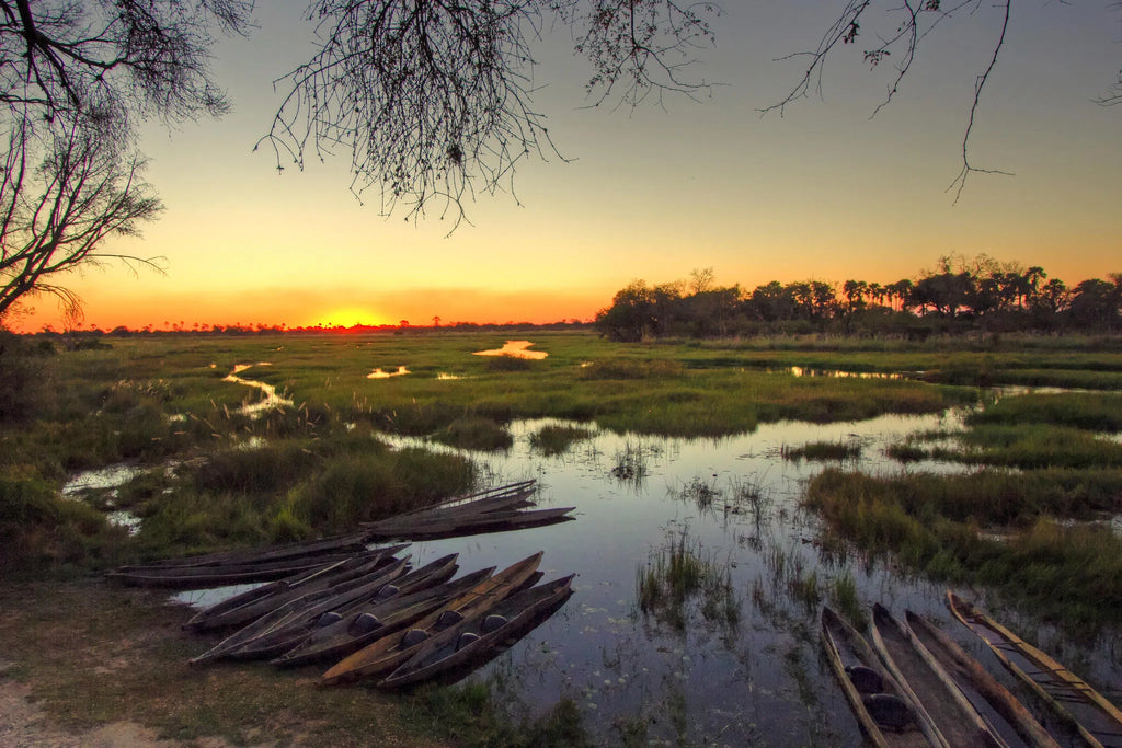 Breathtaking Sunsets at Oddballs' Camp, Moremi Game Reserve, Botswana.