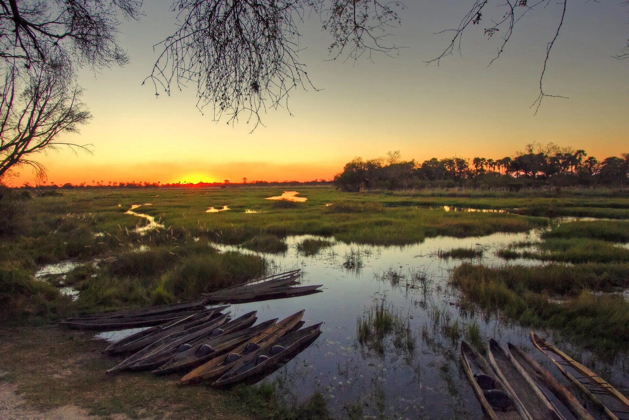 Breathtaking Sunsets at Oddballs' Camp, Moremi Game Reserve, Botswana.