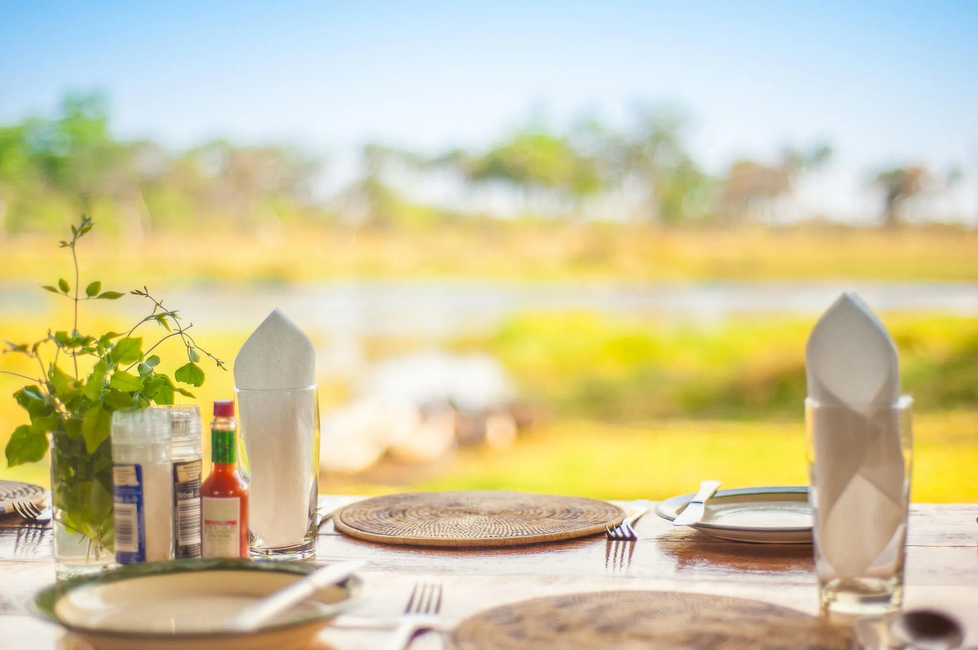Dining at Oddballs' Camp at Oddballs' Camp, Moremi Game Reserve, Botswana.