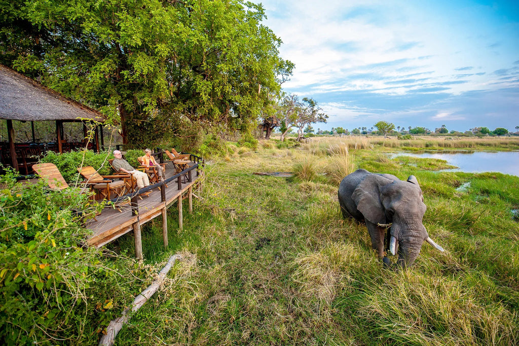 Guest areas at Delta Camp at Delta Camp, Okavango Delta, Botswana.