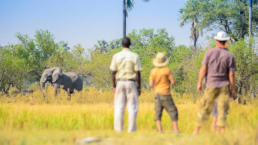 Delta Camp Walking Safari at Delta Camp, Okavango Delta, Botswana.