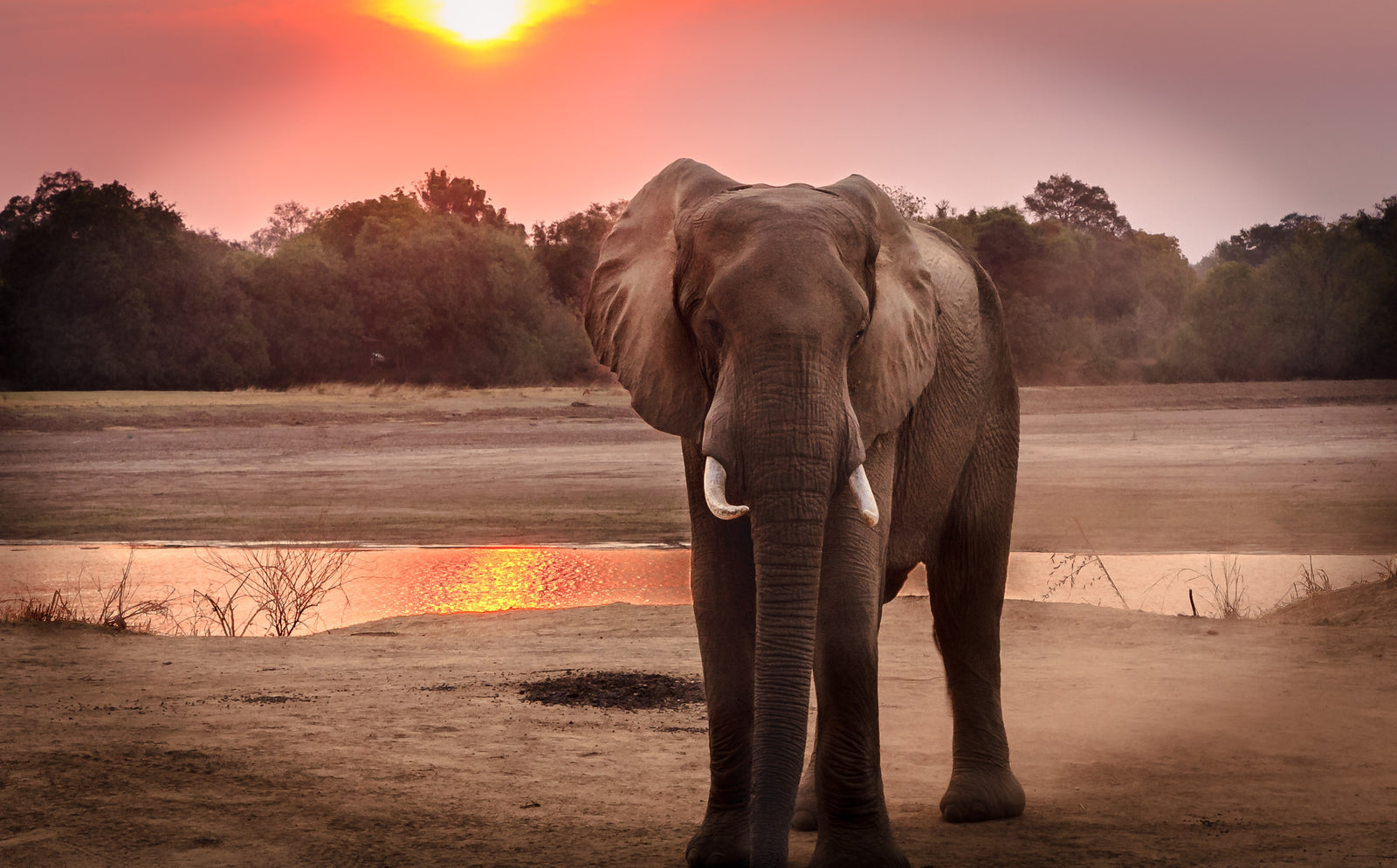 Mbano Manor Hotel Victoria Falls — Game Viewing
