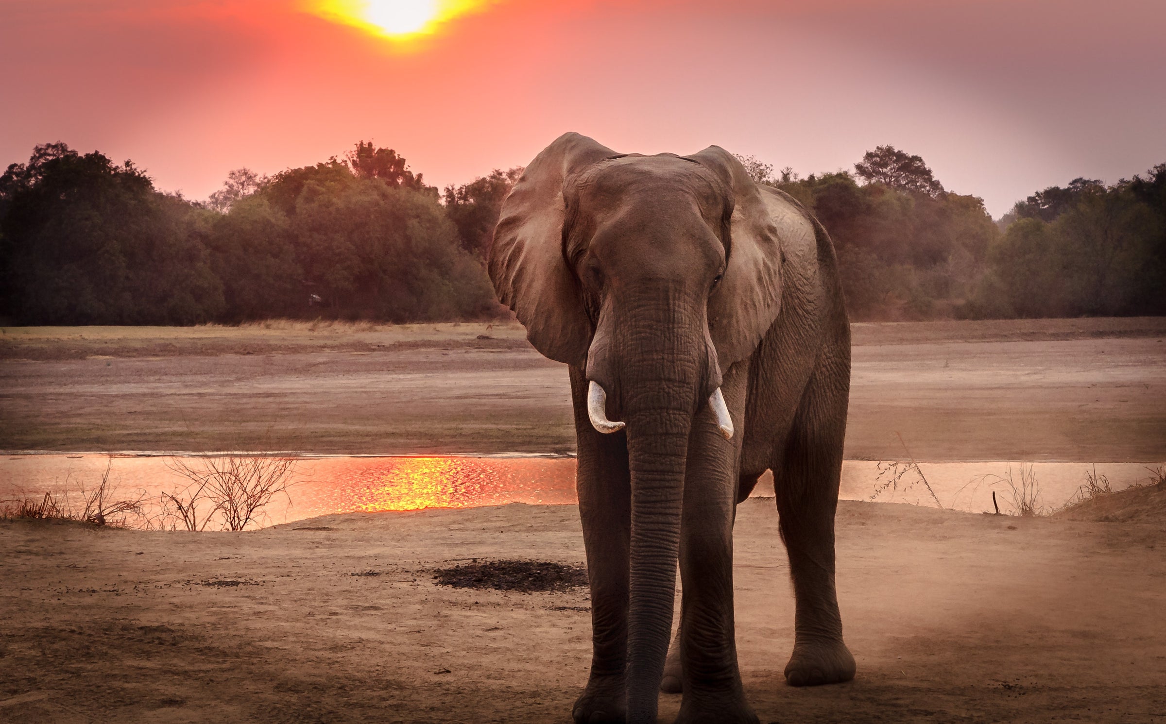 Mbano Manor Hotel Victoria Falls — Game Viewing