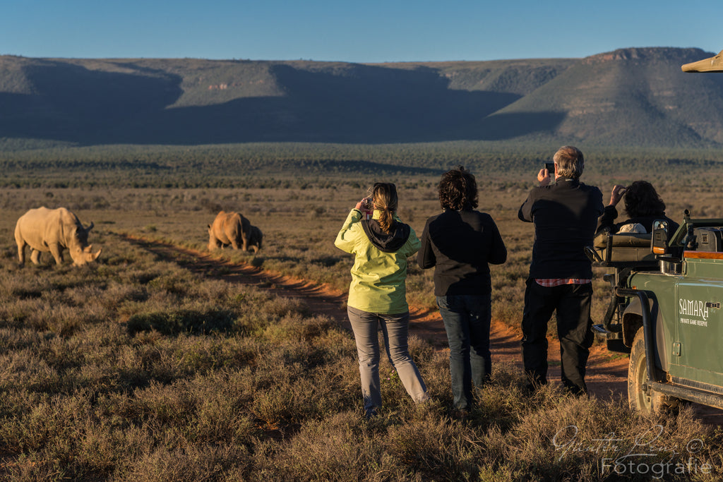 On foot white rhino tracking