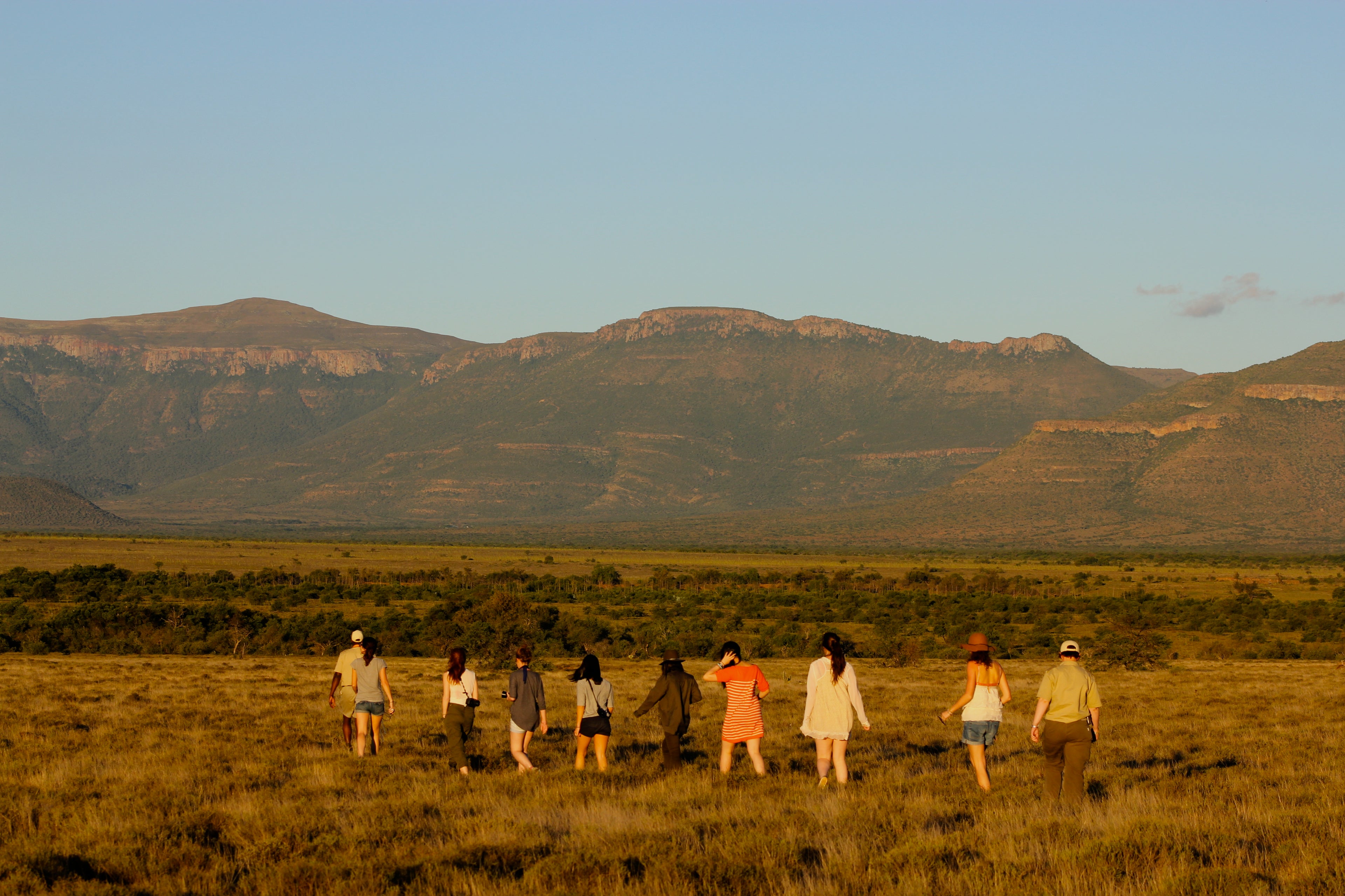 Walking safari