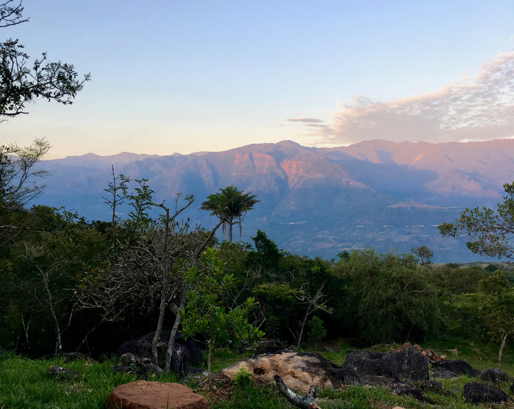Mountain view