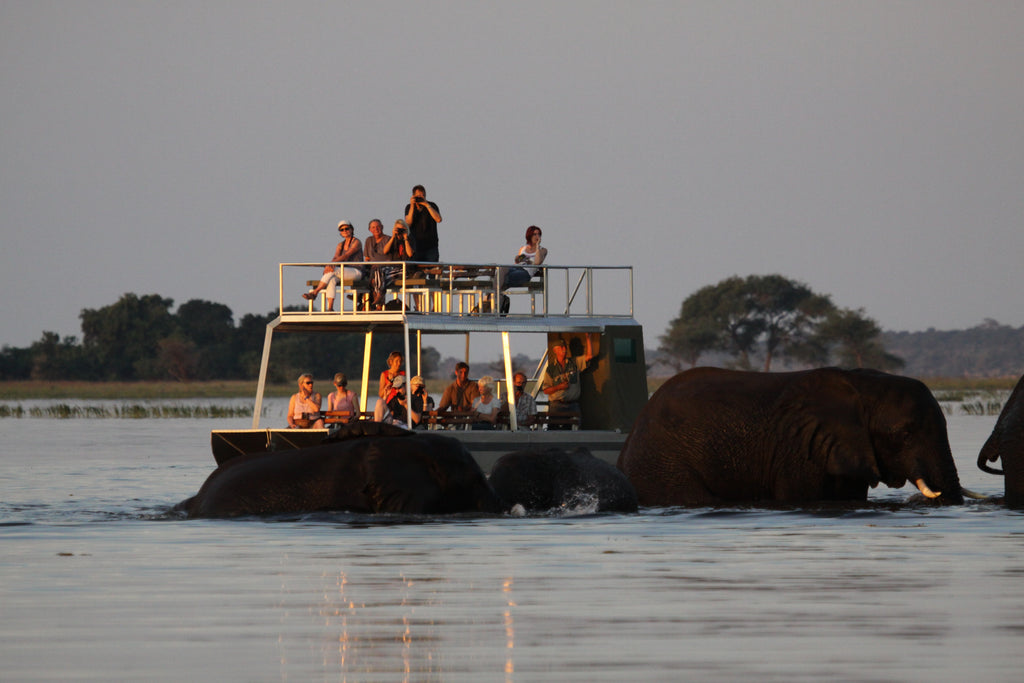 Chobe River Campsite