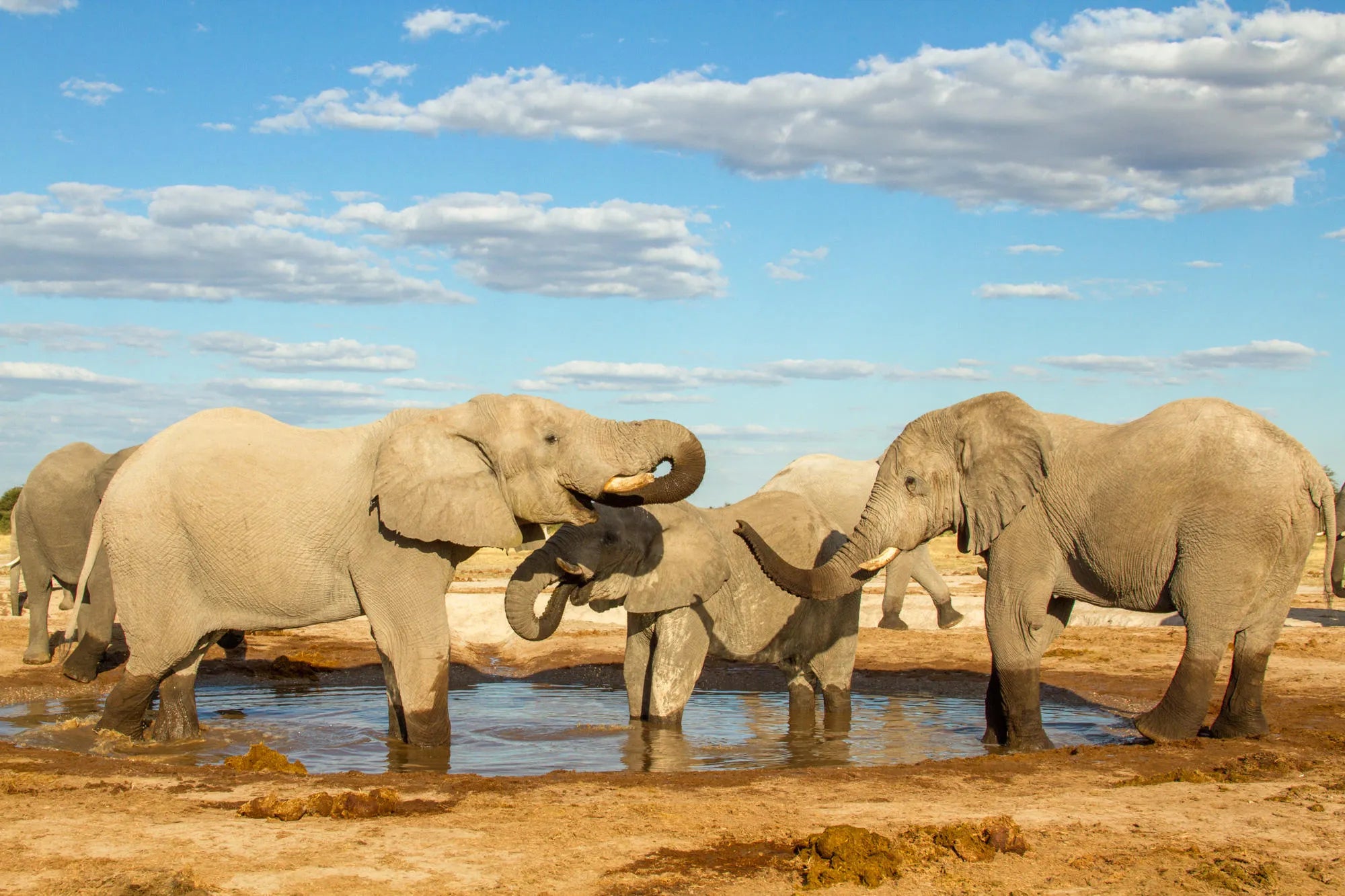 Nxai Pan at Nxai Pan , Nxai Pan National Park, Botswana.