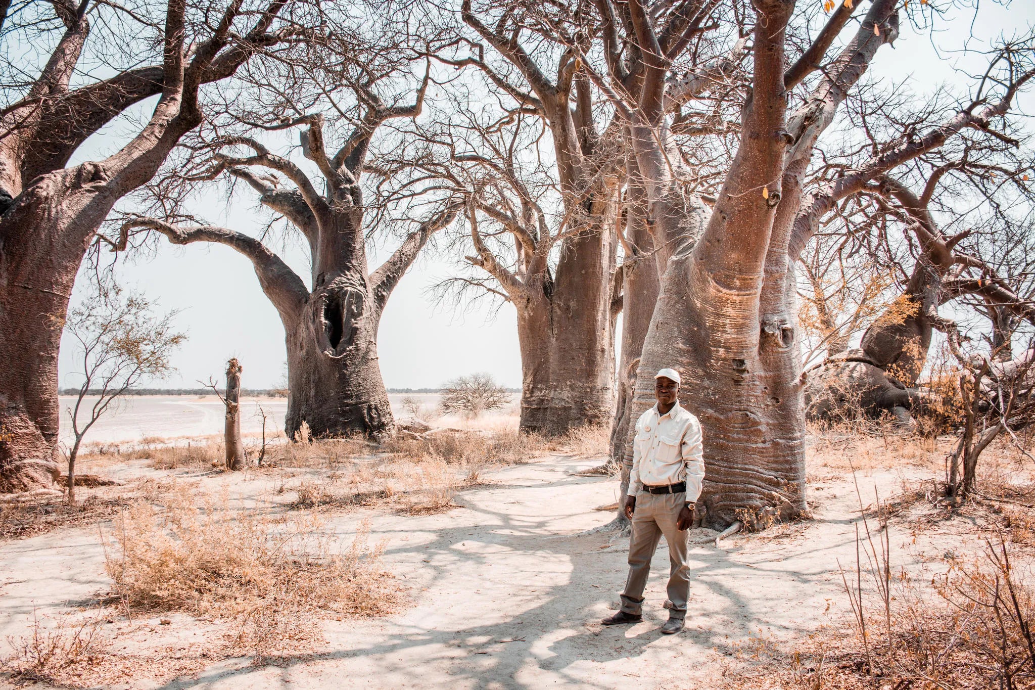 Baines Baobab visit