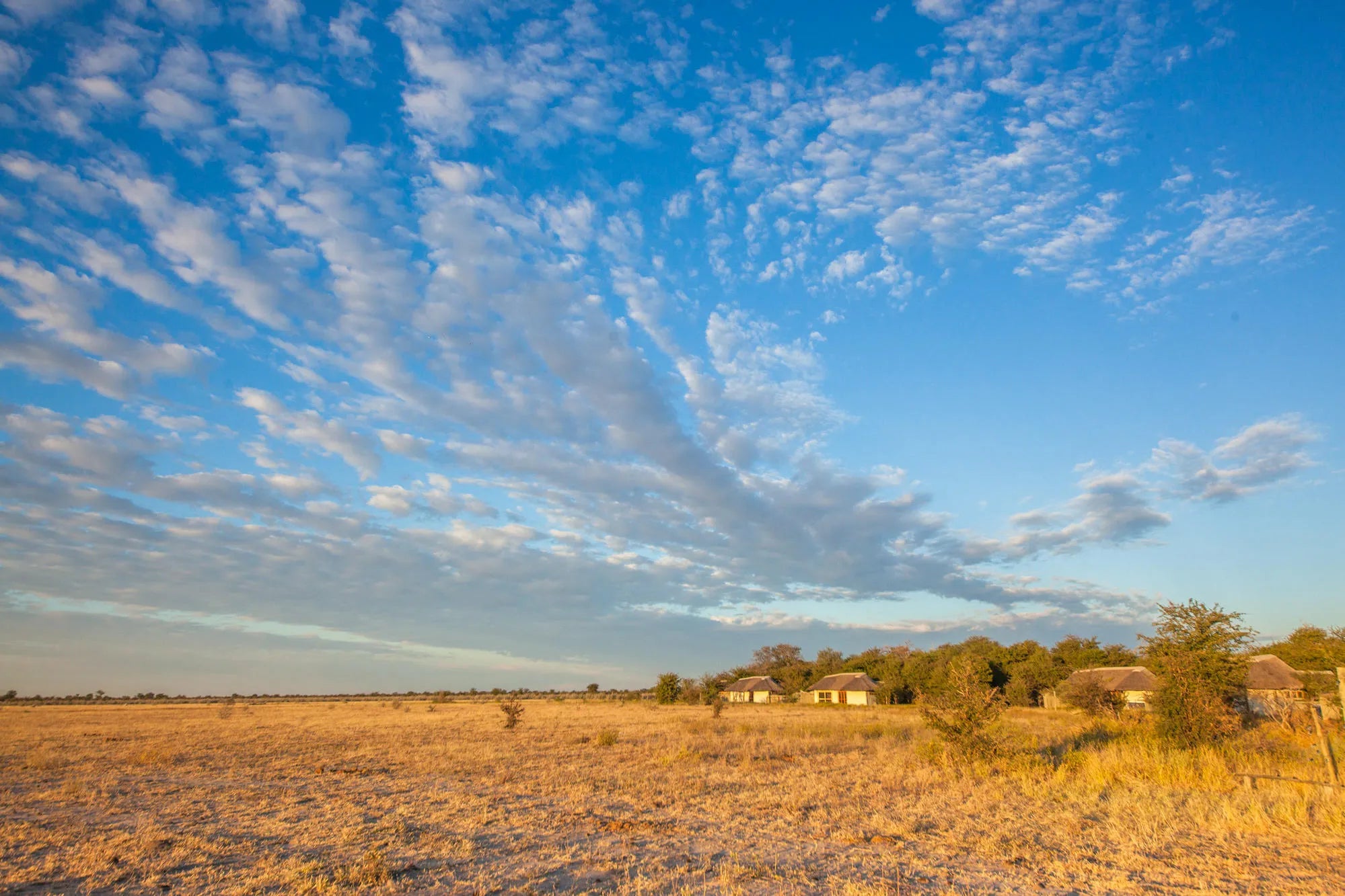 Nxai Pan at Nxai Pan , Nxai Pan National Park, Botswana.