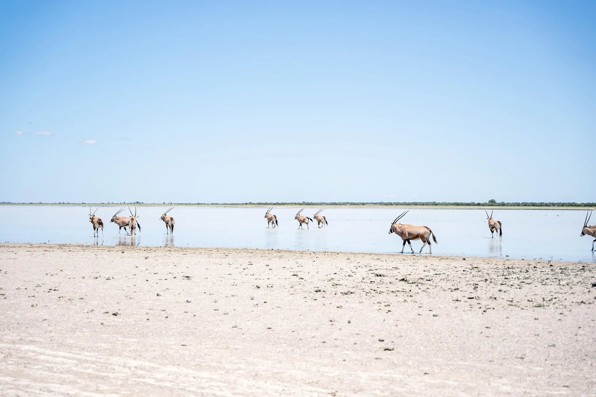 Nxai Pan at Nxai Pan , Nxai Pan National Park, Botswana.