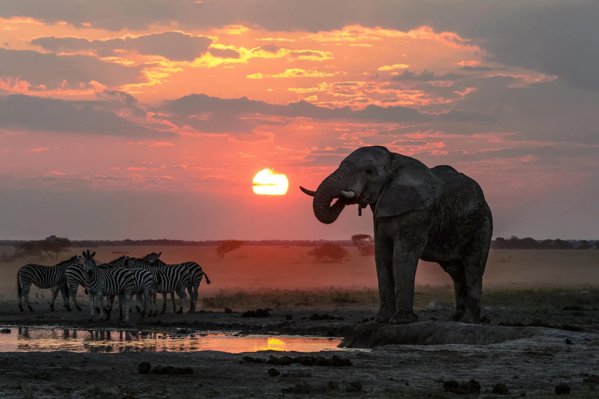 Nxai Pan at Nxai Pan , Nxai Pan National Park, Botswana.