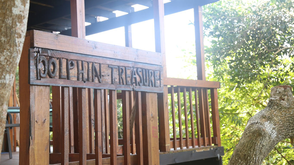 Dolphin Treasure