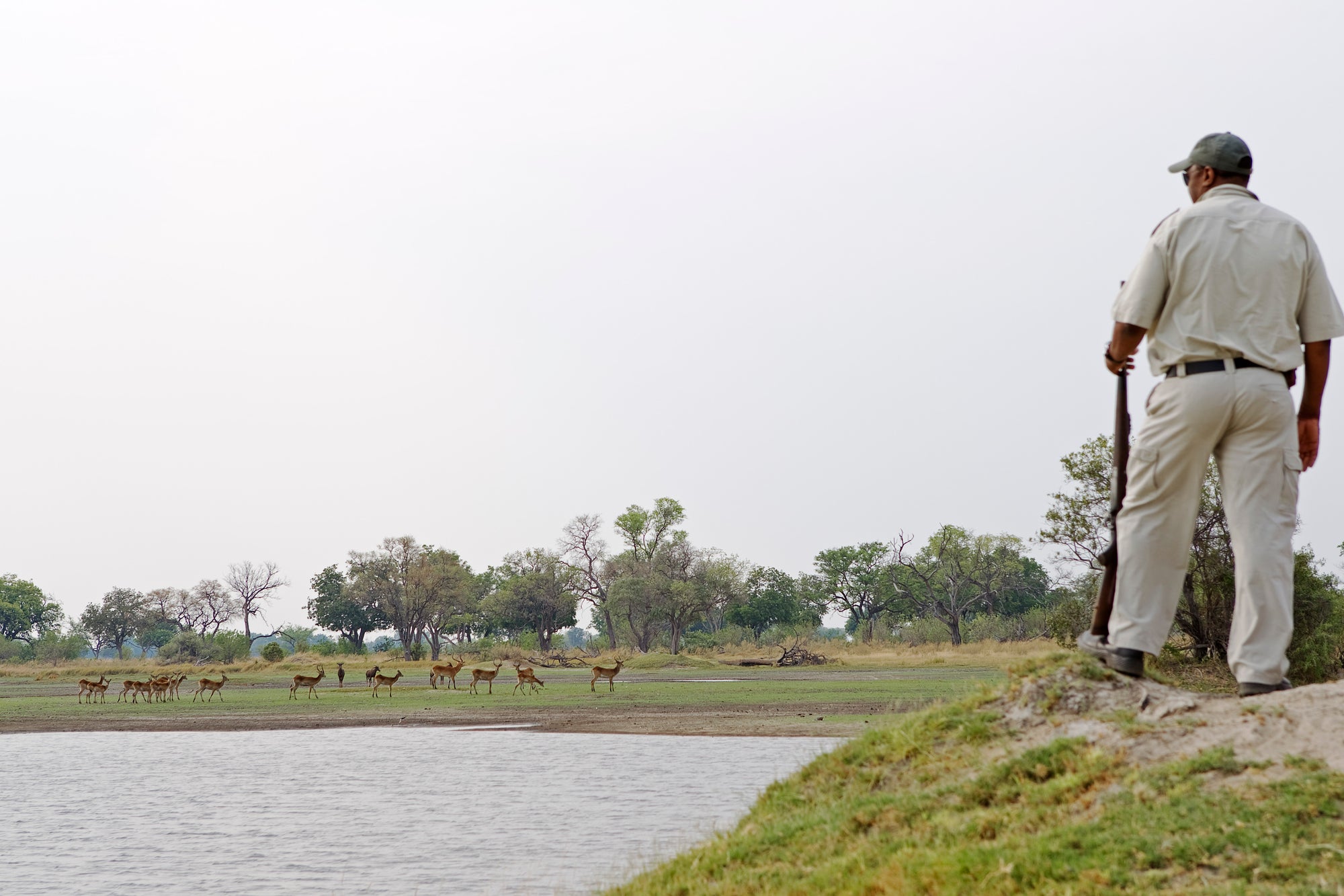 Walking Safari