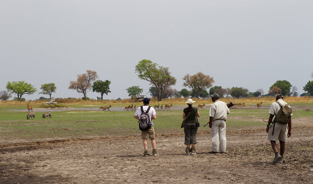 Walking Safari