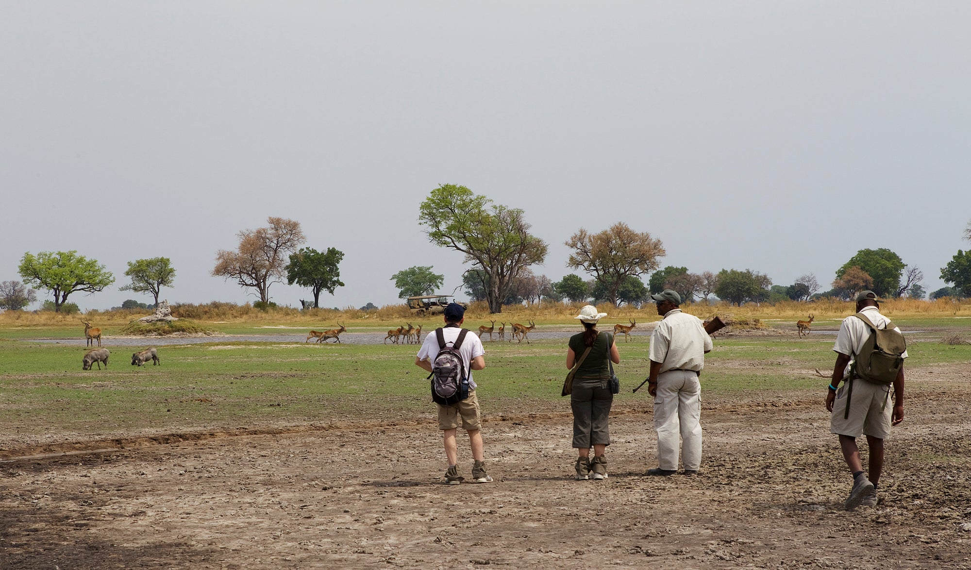 Walking Safari