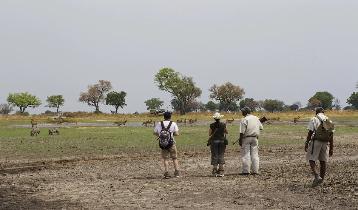Walking Safari
