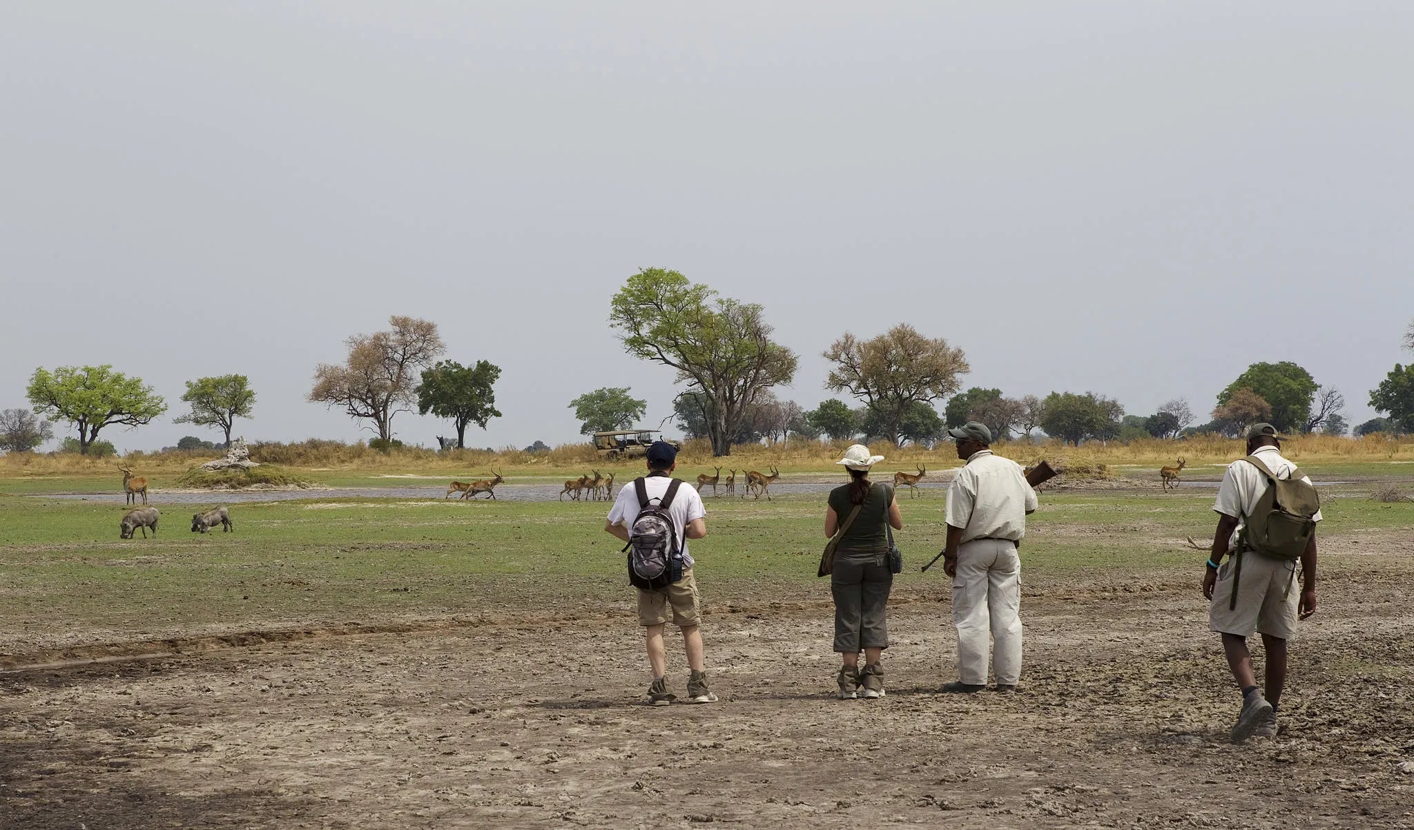 Walking Safari