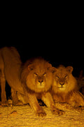 Featured image.