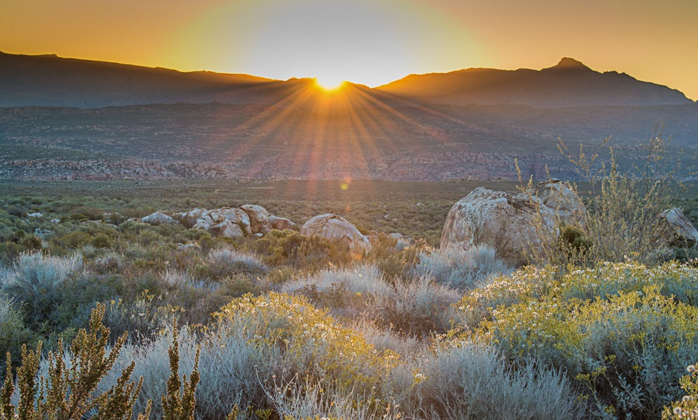 Kagga Kamma Landscape