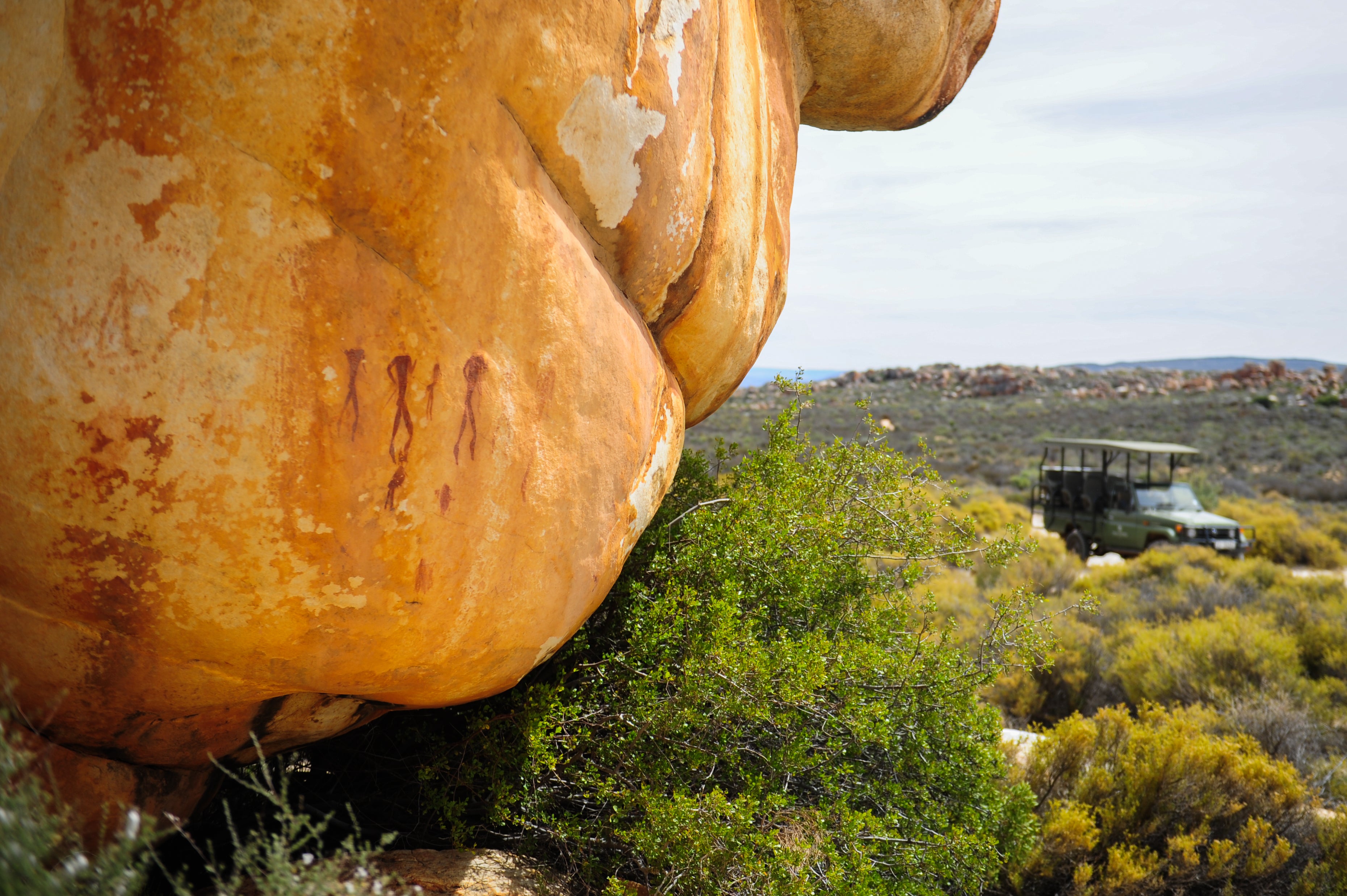 Rock Art Tour