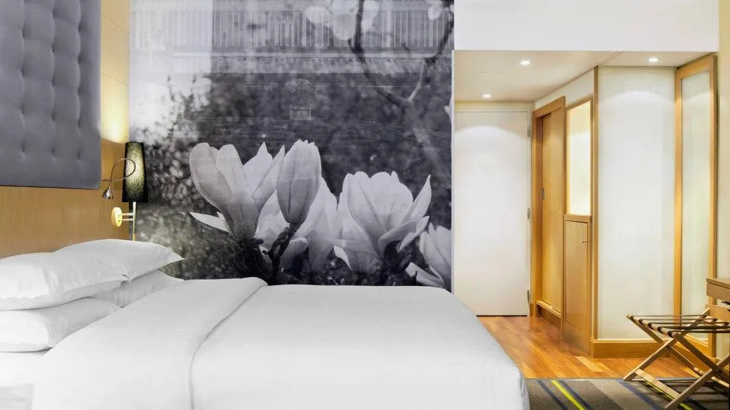 Classic, Guest room, 1 King