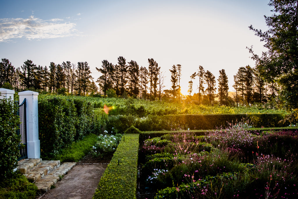 Brookdale Garden