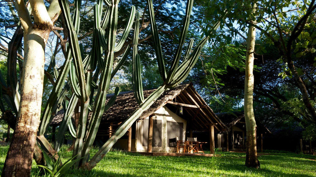 Voyager Ziwani, Ziwani Wildlife Sanctuary, Kenya gallery image 3.