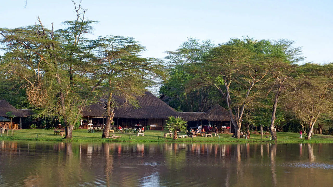 Voyager Ziwani, Ziwani Wildlife Sanctuary, Kenya featured image.