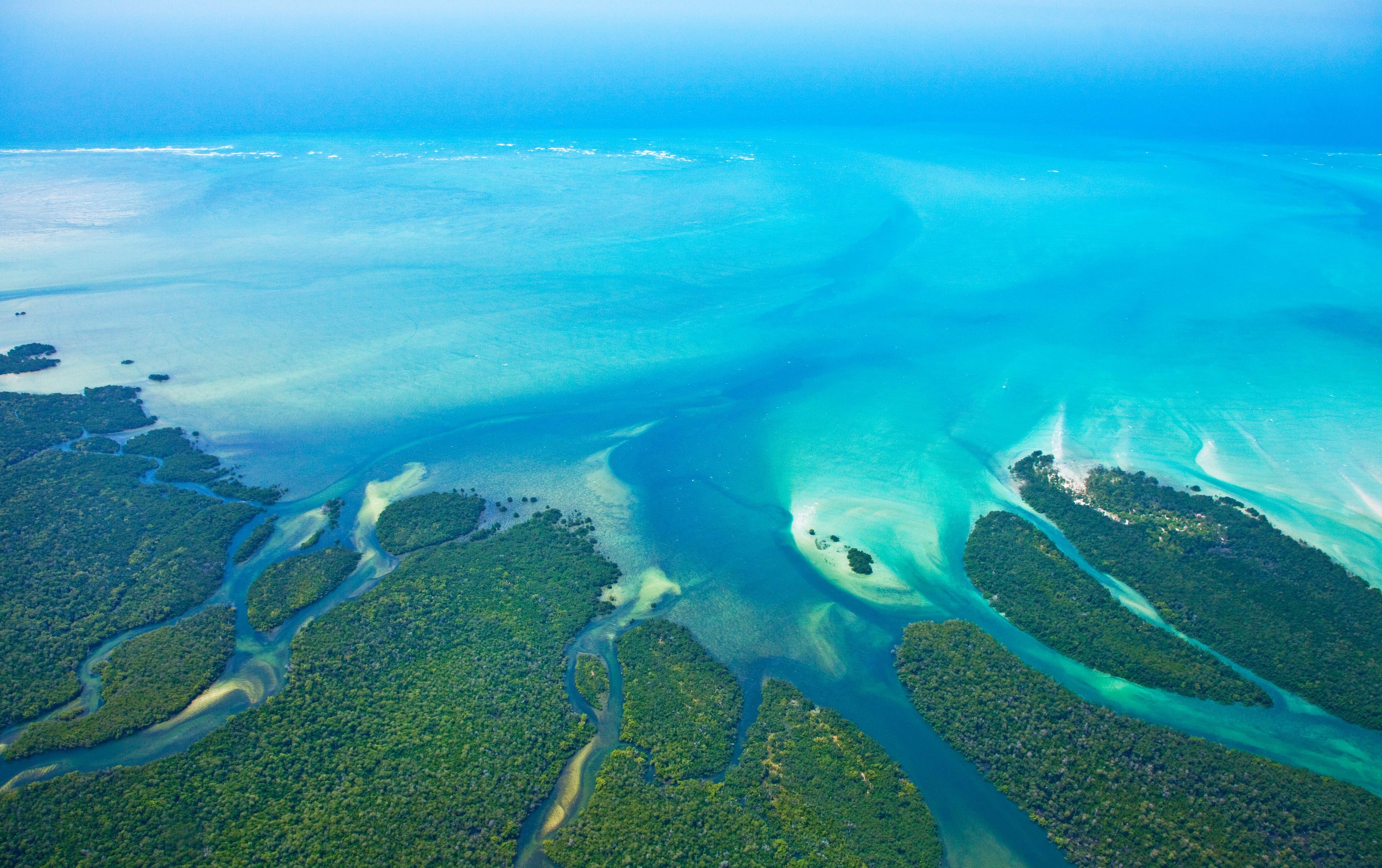 Aerial view of the mangrove canals