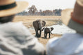 Wilderness Davison’s at Wilderness Davison's, Hwange National Park, Zimbabwe.