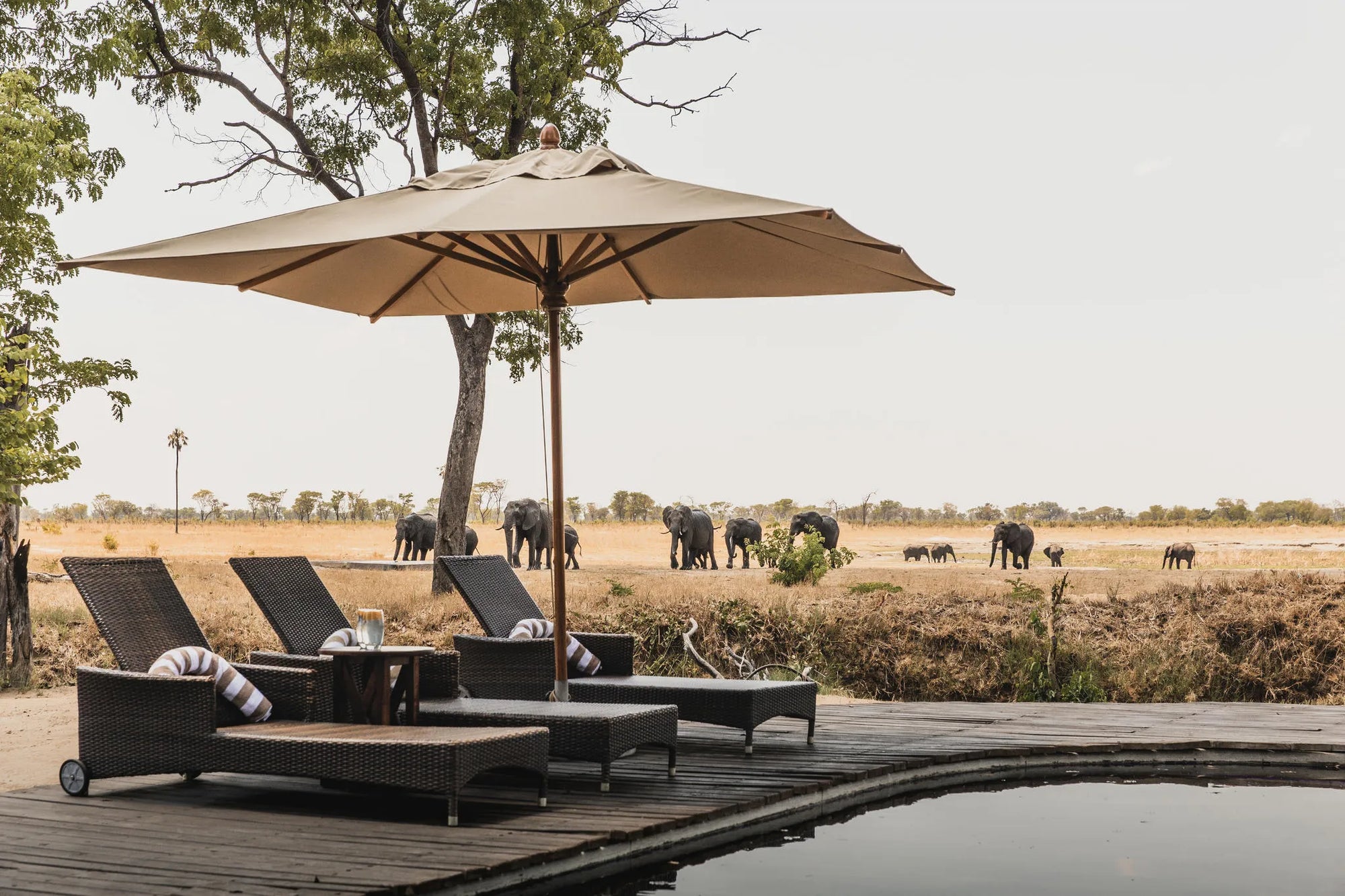 Wilderness Davison’s at Wilderness Davison's, Hwange National Park, Zimbabwe.