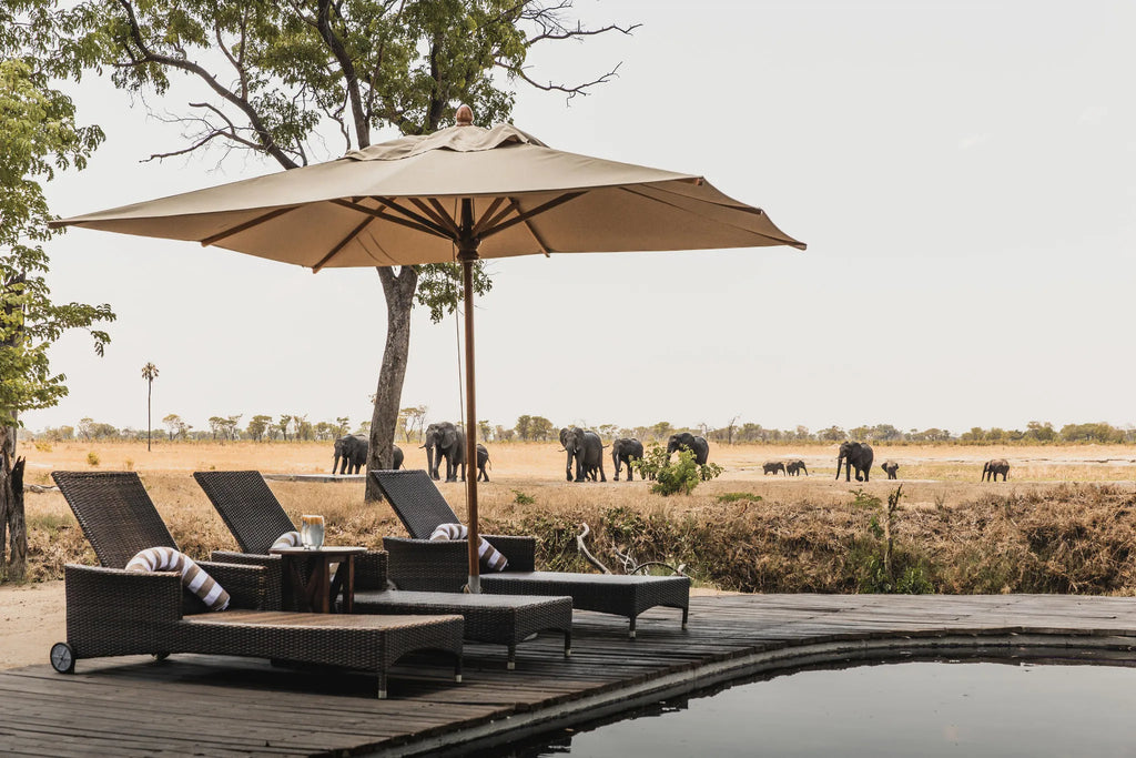 Wilderness Davison’s at Wilderness Davison's, Hwange National Park, Zimbabwe.