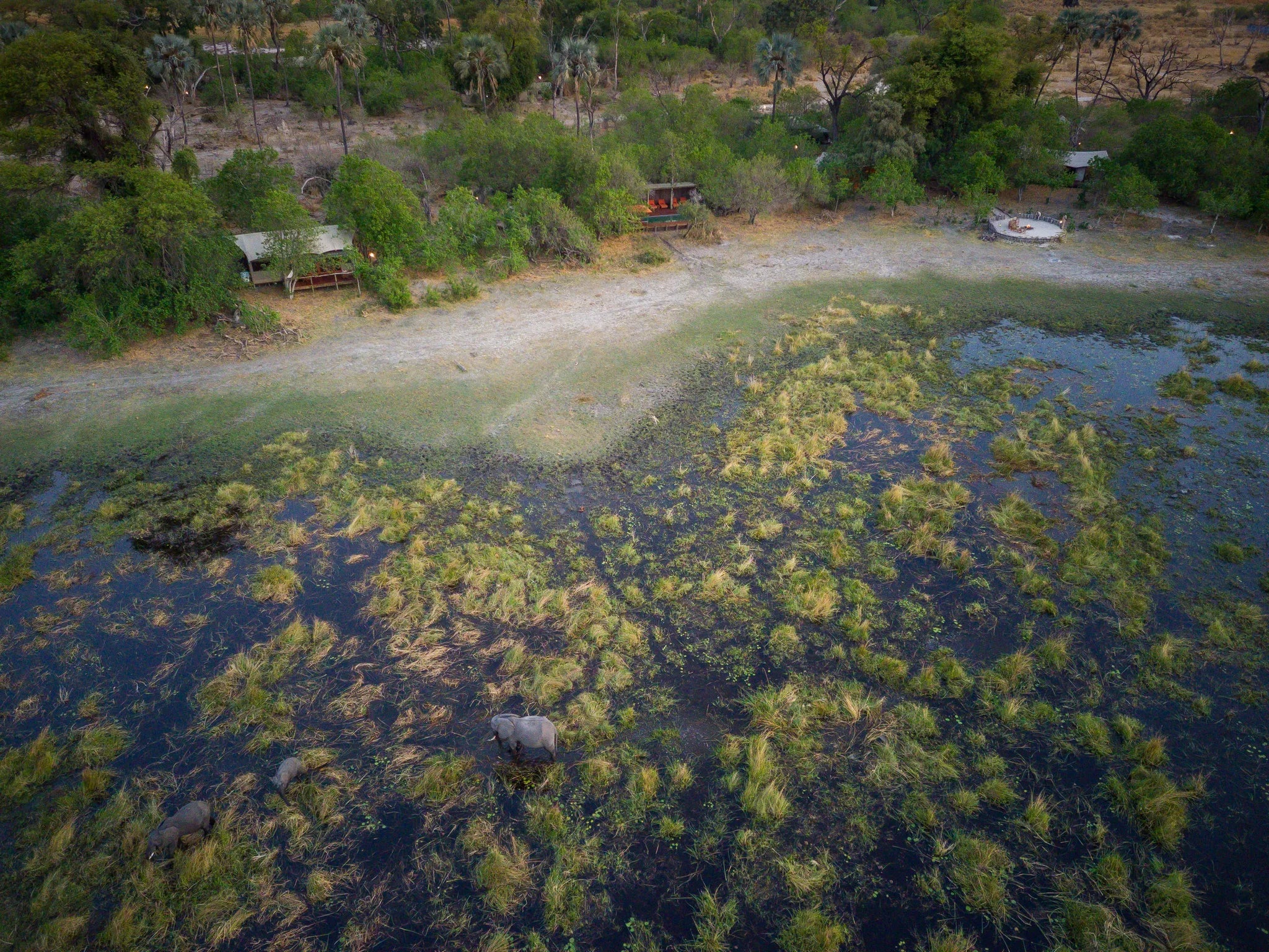 Amber River Camp Drone at Amber River Camp, Okavango Delta, Botswana.