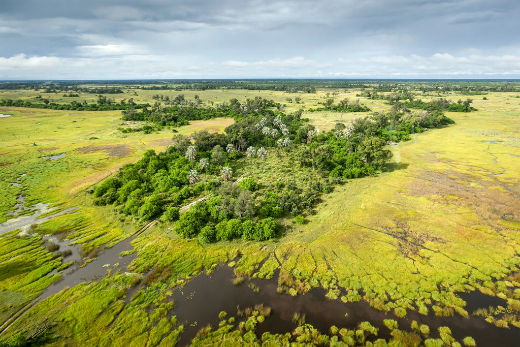 Ariel View at Amber River Camp, Okavango Delta, Botswana.