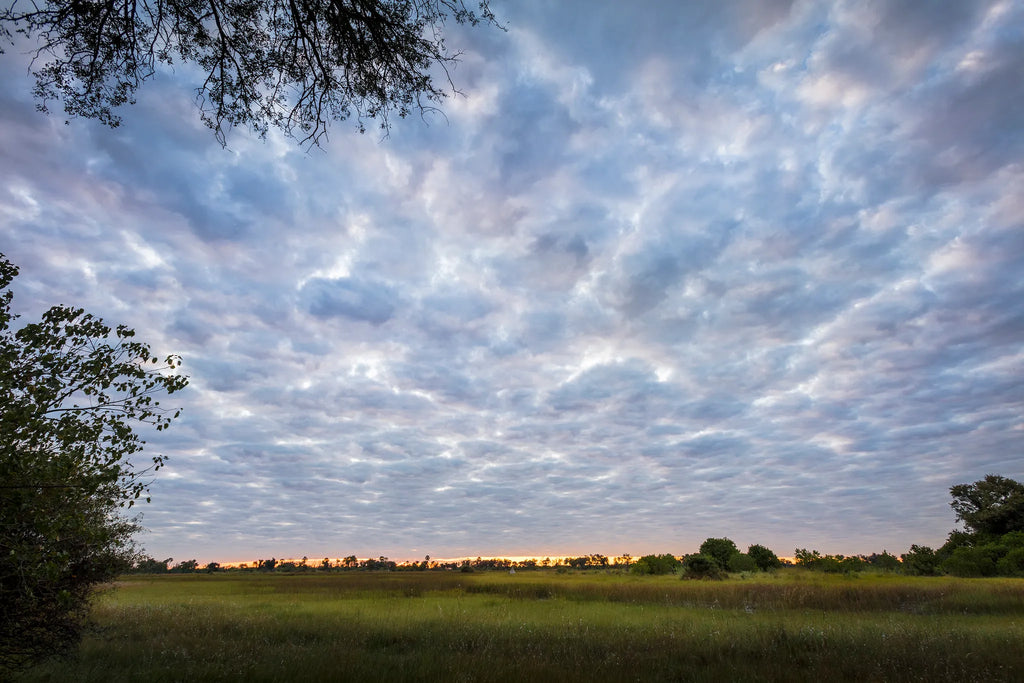 Botswana at Amber River Camp, Okavango Delta, Botswana.
