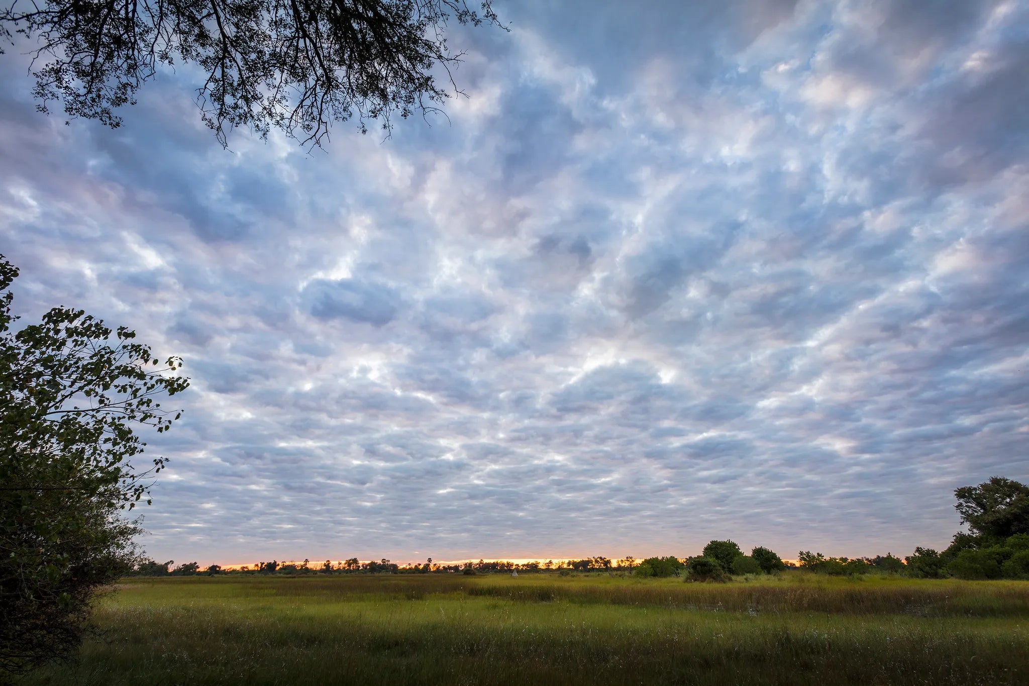Botswana at Amber River Camp, Okavango Delta, Botswana.