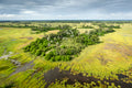 Ariel View