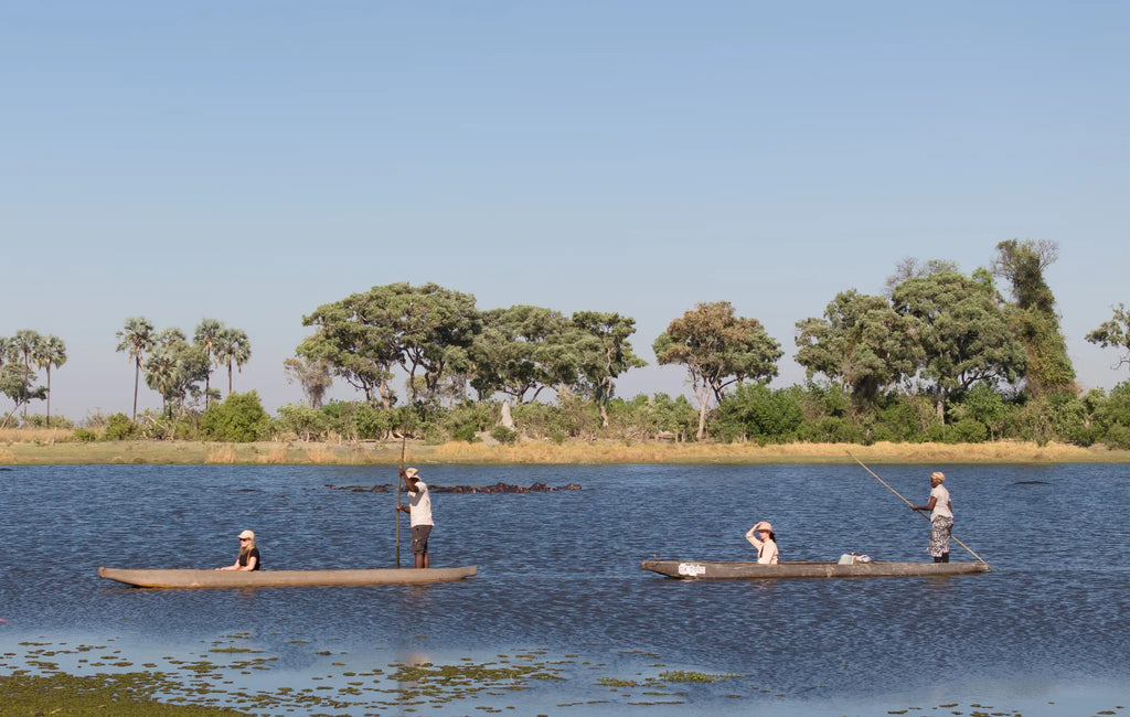 Amber River Camp at Amber River Camp, Okavango Delta, Botswana.