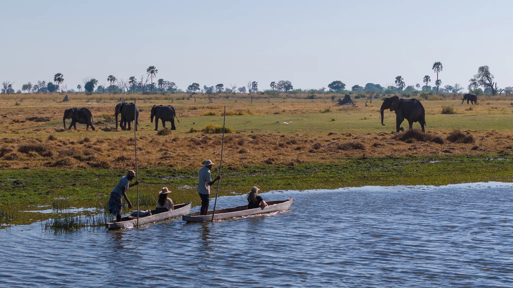 Amber River Camp at Amber River Camp, Okavango Delta, Botswana.