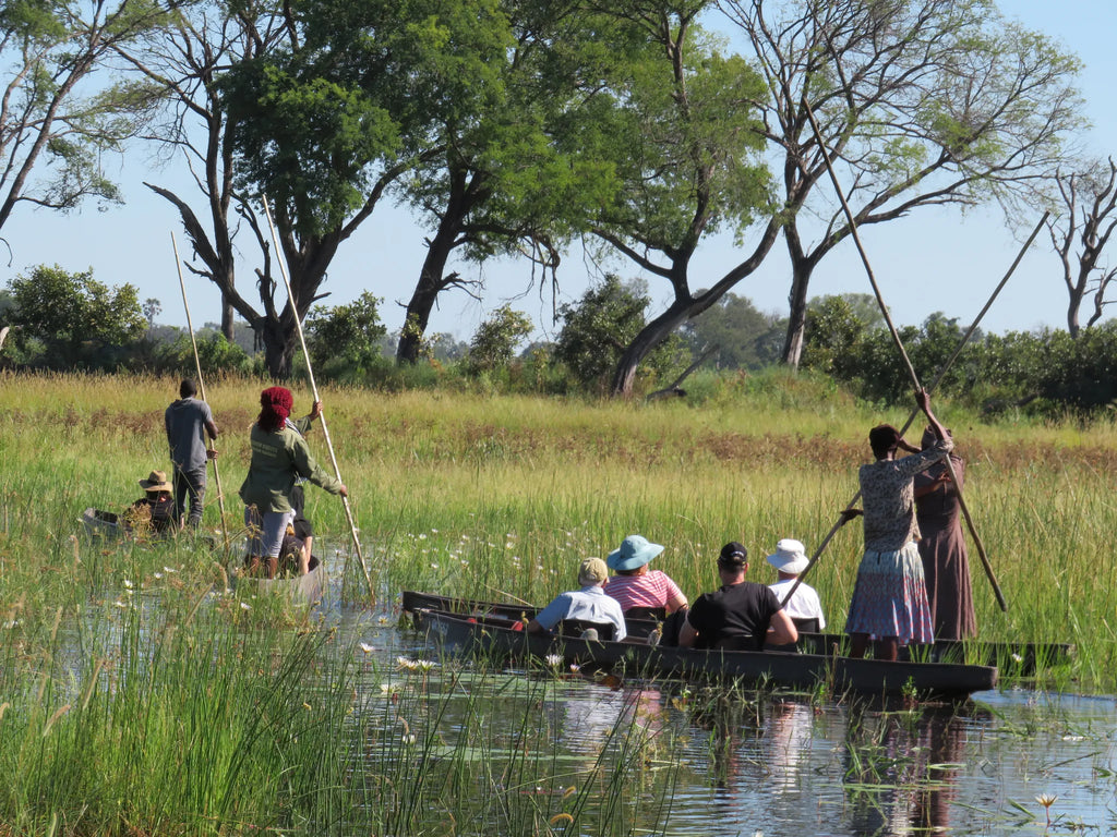 Mokoro at Amber River Camp, Okavango Delta, Botswana.