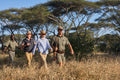 Guided Safari Walks