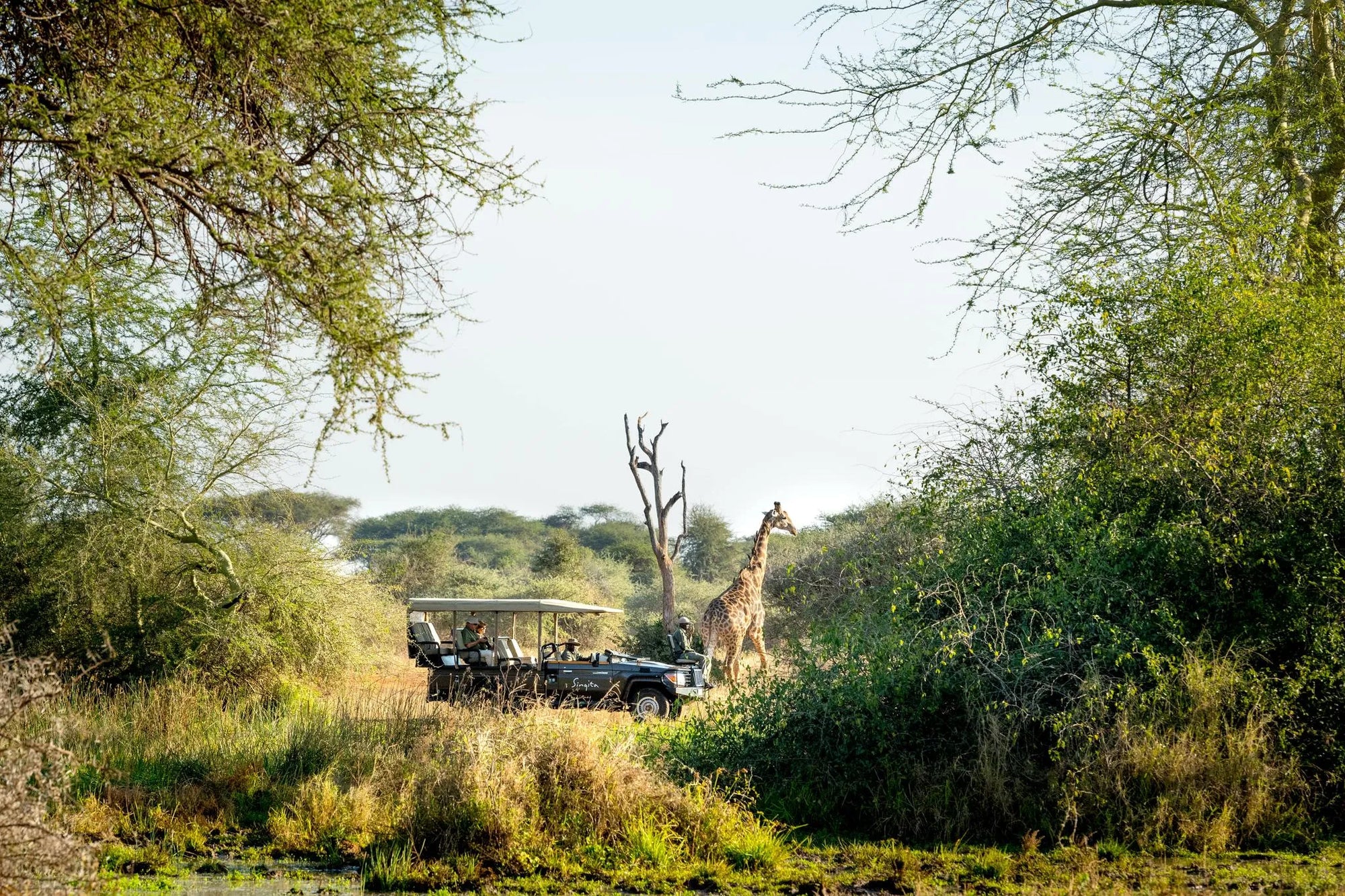 Singita Game Drive at Singita Malilangwe House, Malilangwe Wildlife Reserve, Zimbabwe.