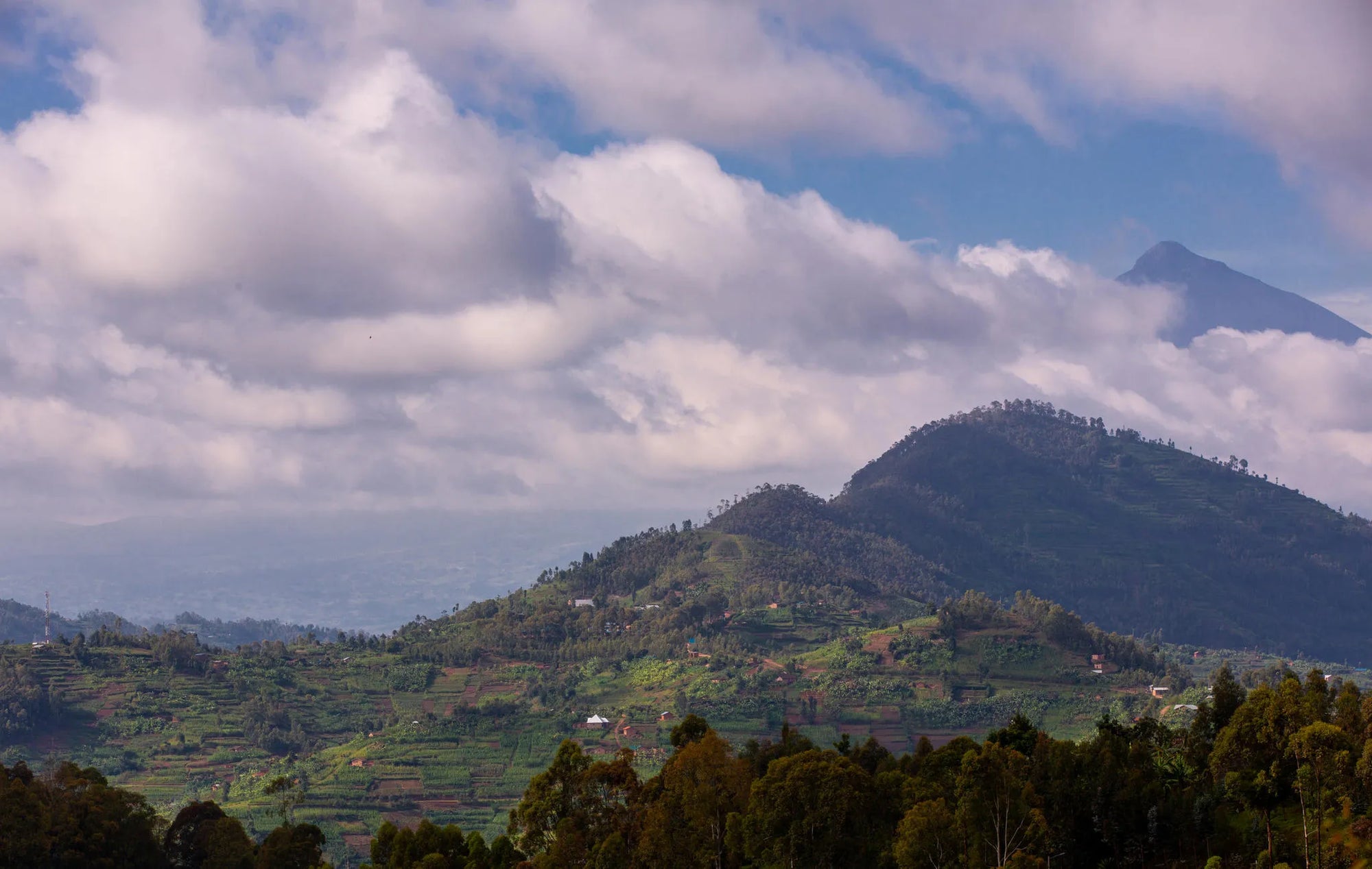 Singita Kataza House - Lanscape at Singita Kataza House, Volcanoes National Park, Rwanda.