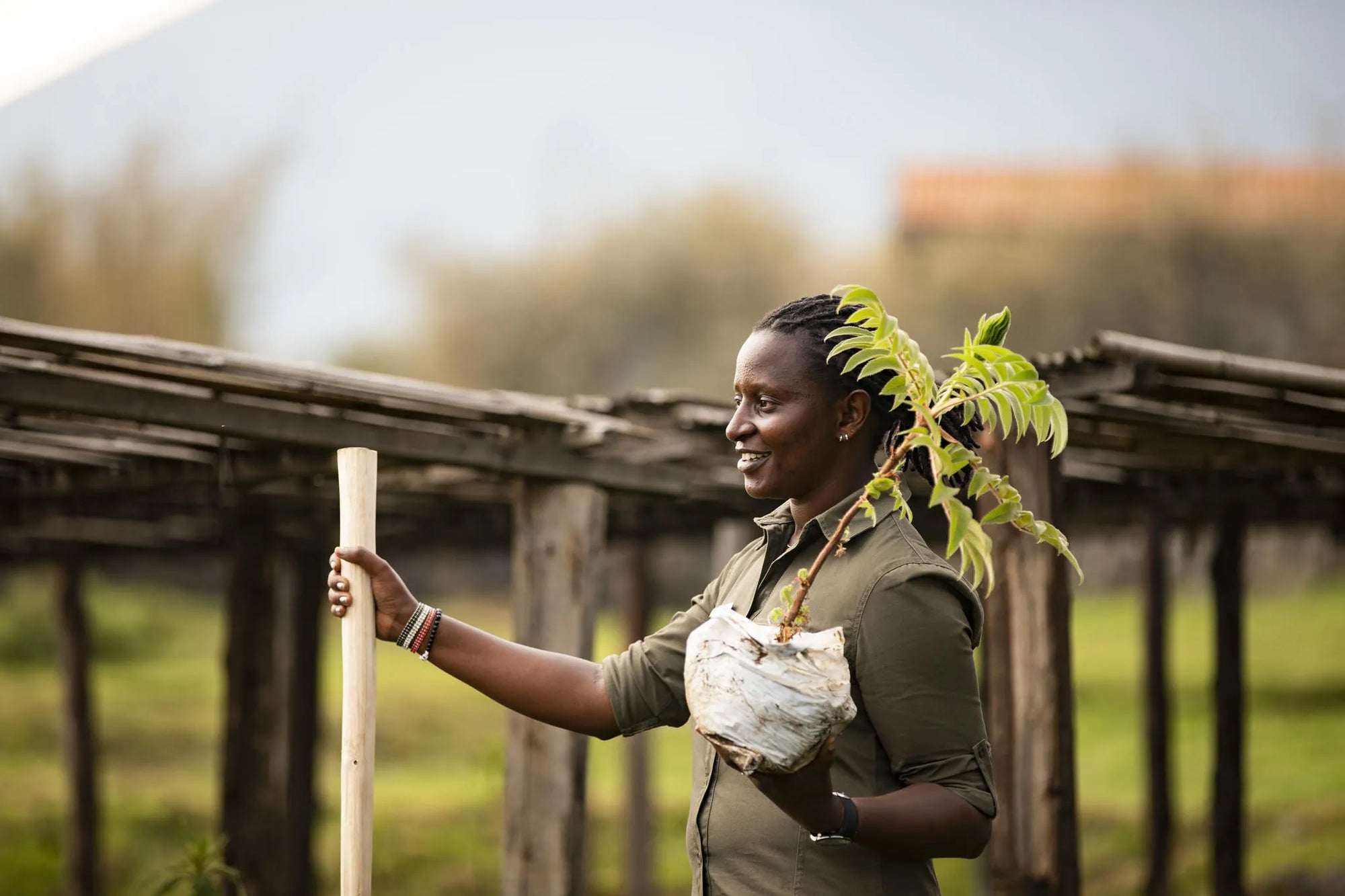 Singita Volvanoes National Park - Akarabo Nursery at Singita Kataza House, Volcanoes National Park, Rwanda.