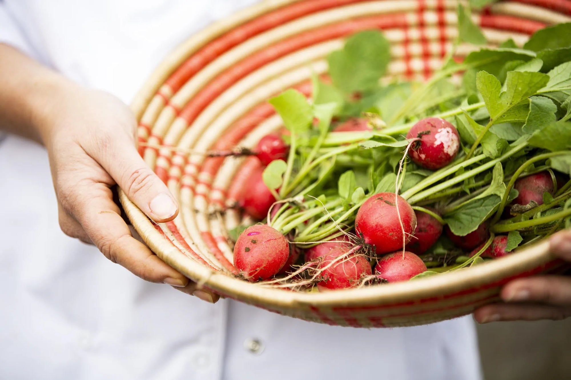 Singita Volcanoes National Park - Farm to Table Produce at Singita Kataza House, Volcanoes National Park, Rwanda.