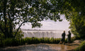 Tour of The Falls