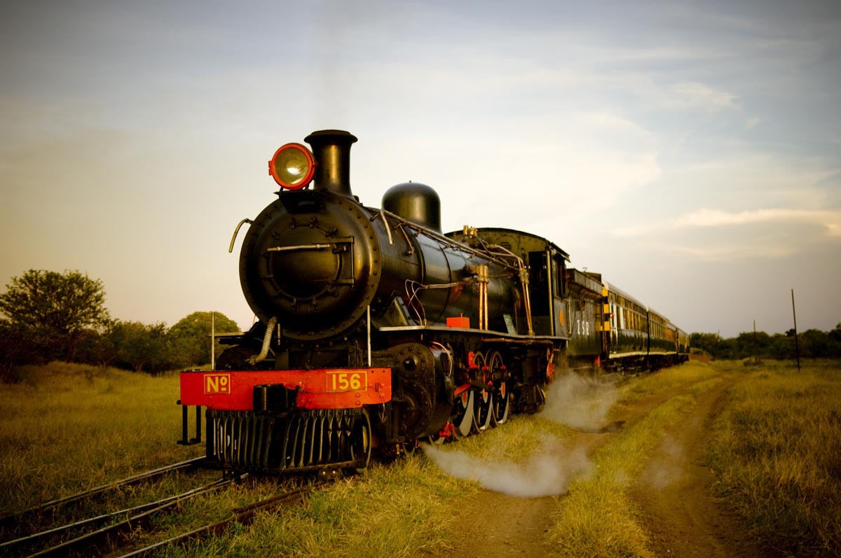 Royal Livingstone Express