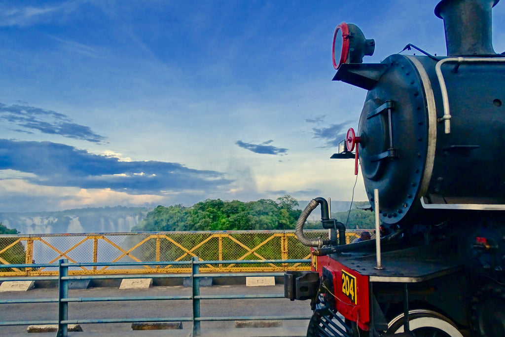 Royal Livingstone Express